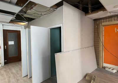 pose-placo-electricté-plafond-professionnel-lyon-batpro