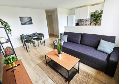 entreprise-renovation-globale-appartement-rhone-loire